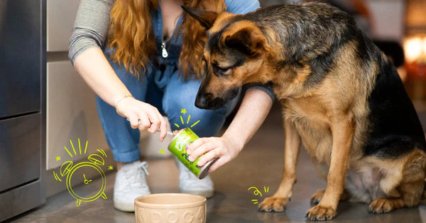 Edgar Cooper Lata paté cremoso Cordeiro & Vaca para cães adultos 400 g