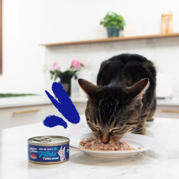 Edgard & Cooper Fillets Atum ao natural em caldo nutritivo para gatos