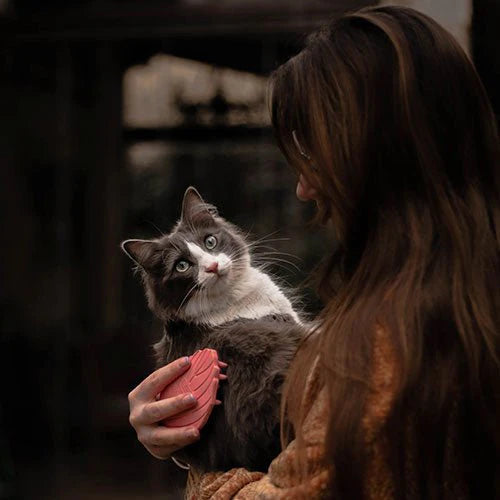 Escova para gatos Rub Cat Brush
