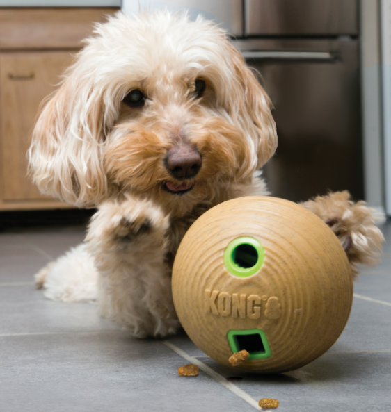 KONG Bamboo