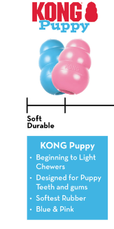 KONG Puppy
