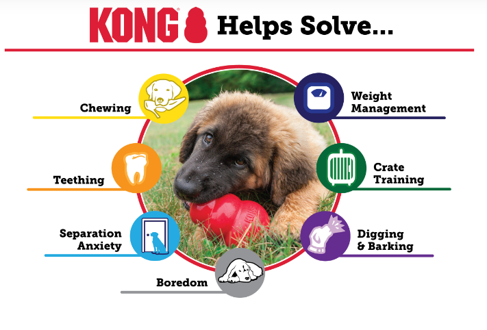 KONG Puppy