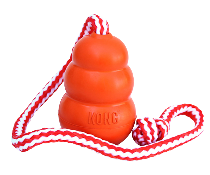 KONG Aqua