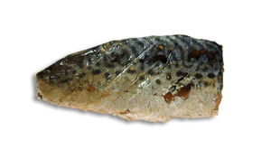 Kit Cat FilletFresh - Cavala Grelhada