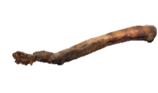Rabo de Boi COLAGÉNIO L (20-40 cm)