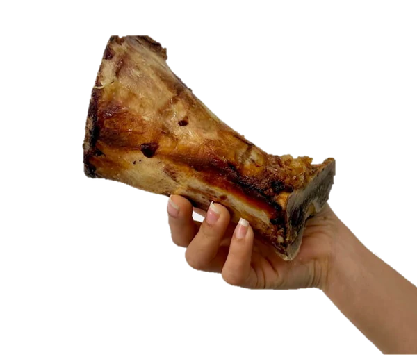 Osso Vaca com Tutano Extra (M)