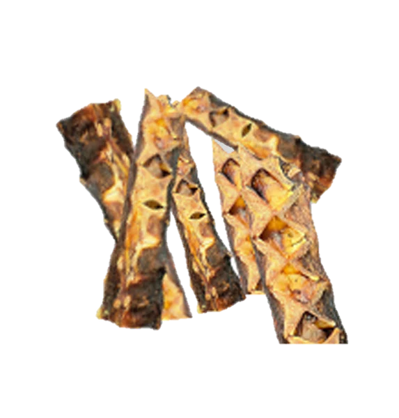 Fish Bone - Osso de Atum (M)