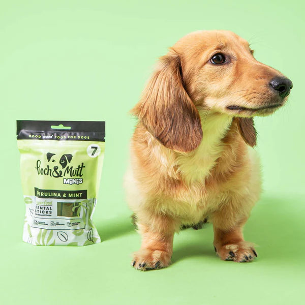 Sticks Dental SUPERFOOD MINI - Spirulina & Hortelã - (Ação Dupla: Dental & Imunidade)