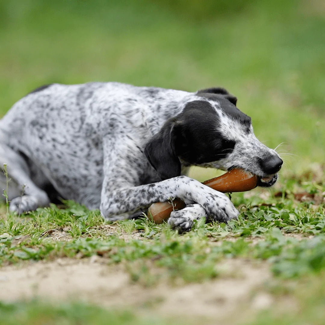 Brinquedo para Cães - Rub Bone