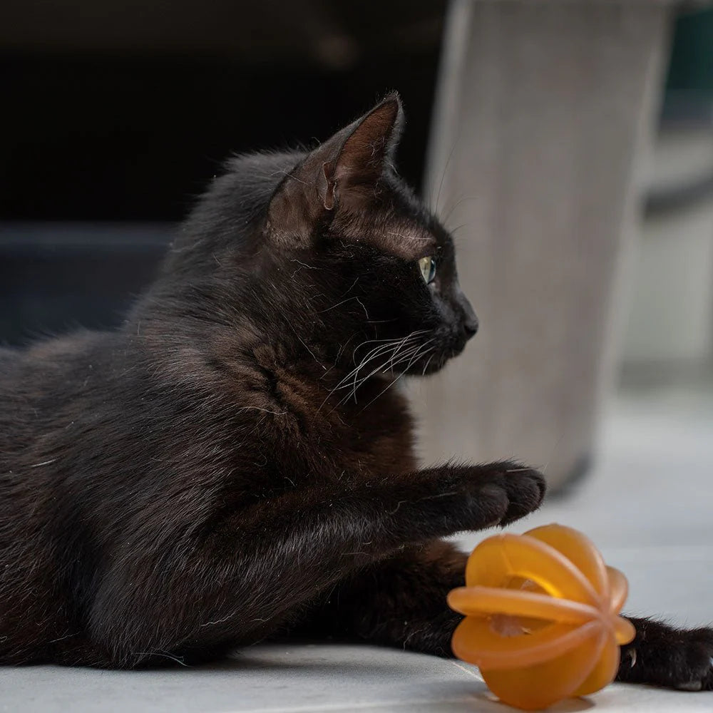 Brinquedo do gato - Bola engraçada