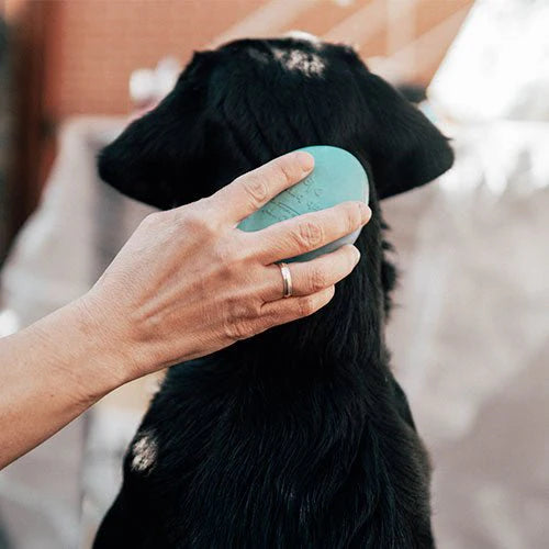 Escova para perros Rub Dog Brush