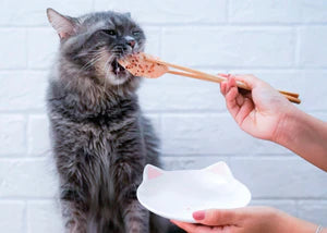 Kit Cat FilletFresh - Cavala Grelhada
