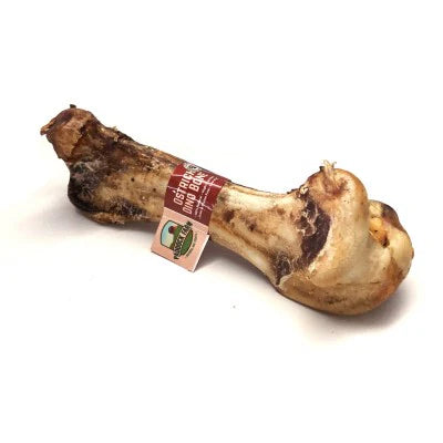 DINO BONE - Osso Avestruz - DINOSSAURUS (XL)