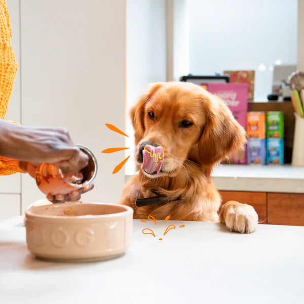 Edgar Cooper Lata paté cremoso Frango & Peru com maçã e morangos para cães adultos 400g