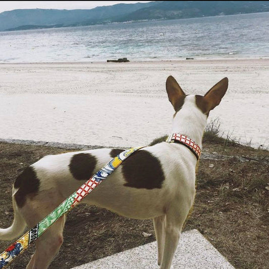 Brott Trela para Cão Alins