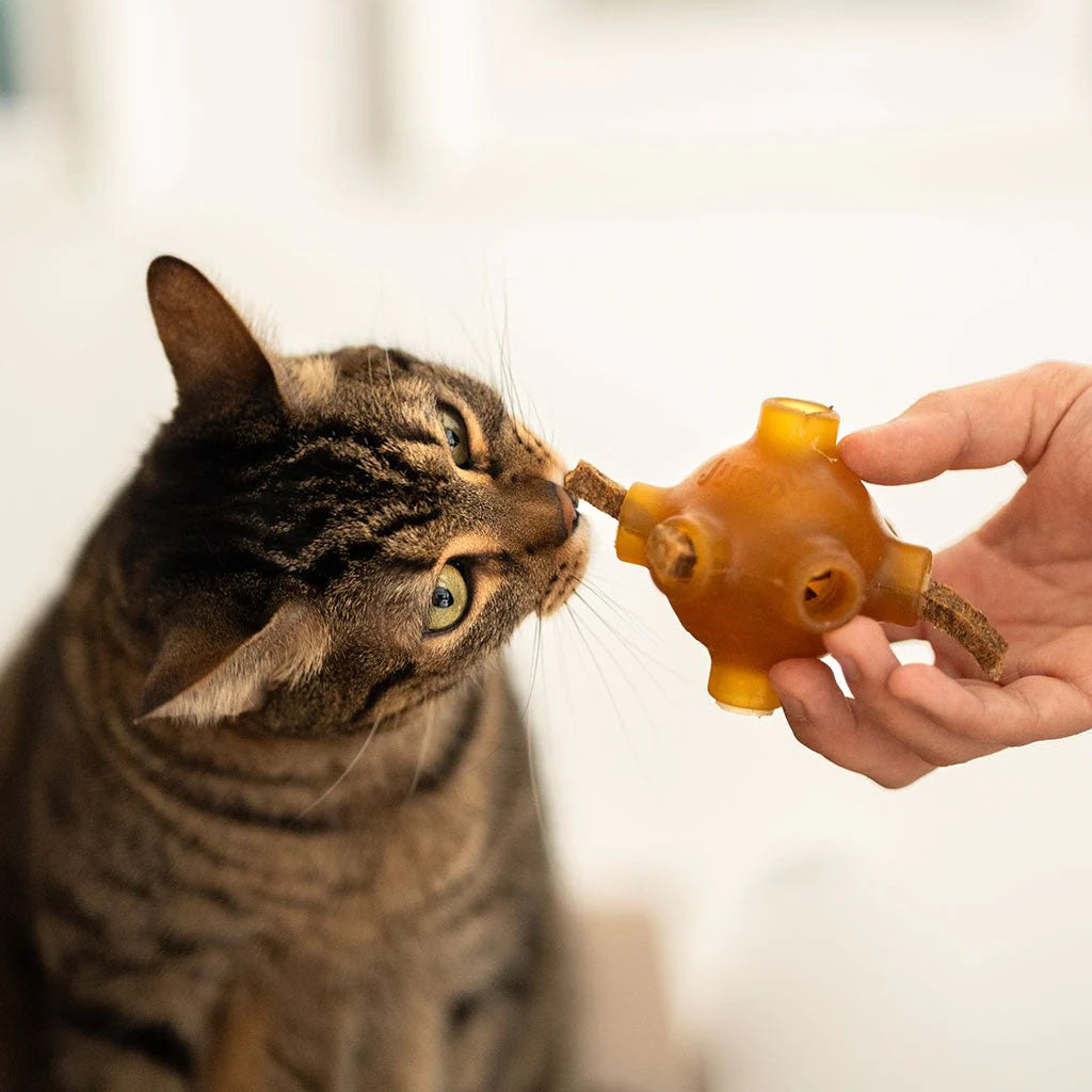 Premio Rub Salmon Dental Stick para Gatos 100g - Tamanho Regular 1x1