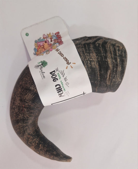 Corno Búfalo