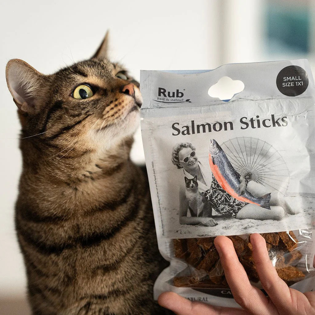 Premio Rub Salmon Dental Stick para Gatos 100g - Tamanho Regular 1x1