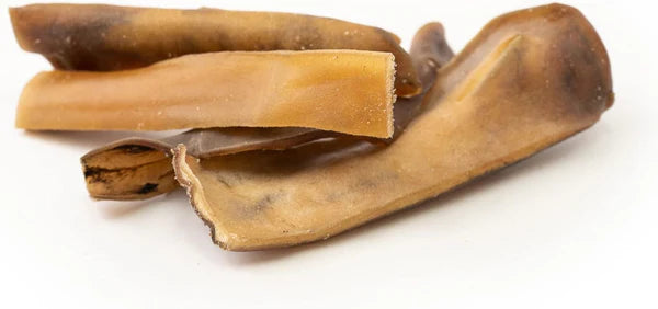 Pele de Camelo M (15 cm) (Ultra Resistente e Anti-Alérgico)