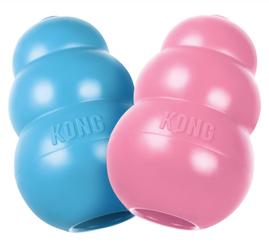 KONG Puppy