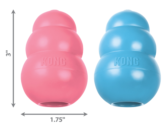 KONG Puppy