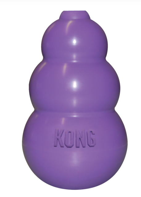 Kitty KONG