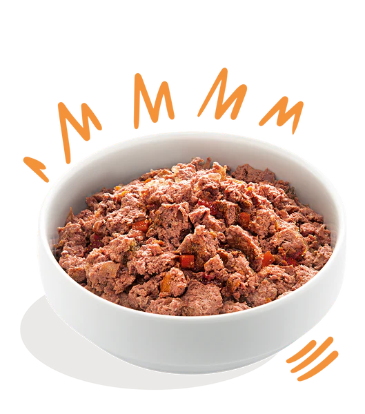 Edgar Cooper Lata paté cremoso Frango & Peru com maçã e morangos para cães adultos 400g