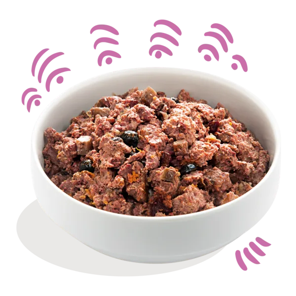 Edgar Cooper Lata paté cremoso Veado & Pato para cães adultos 400 g