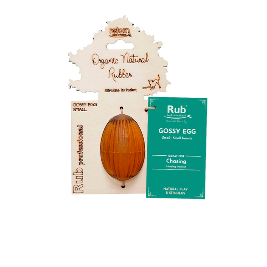 Brinquedo para Cães - Rub Gossy Egg