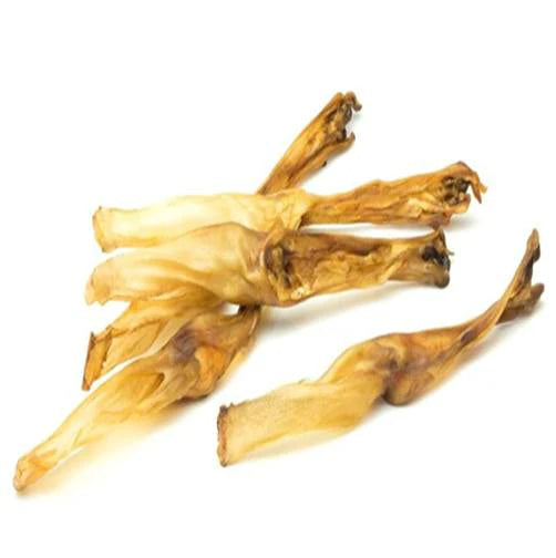 Orelha Coelho