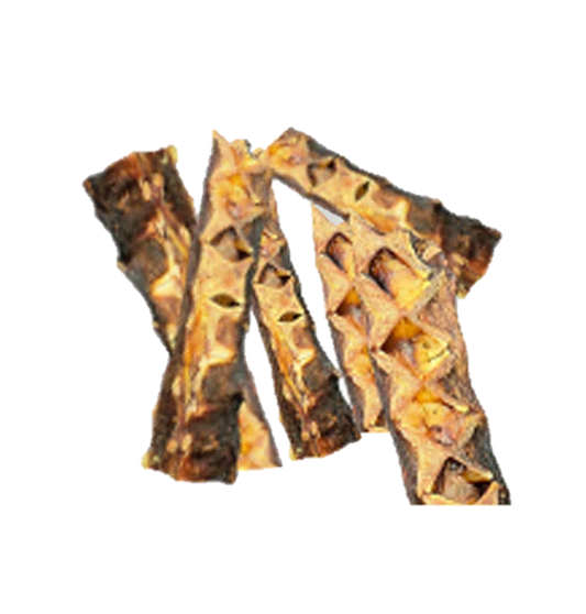 Fish Bone - Osso de Atum (M)