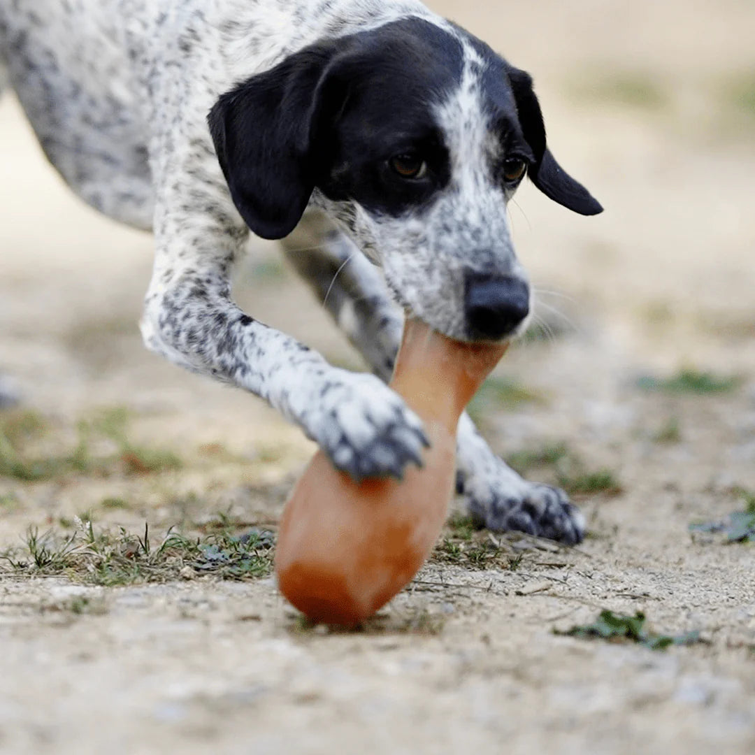 Brinquedo do cão - Flipper Slow Feeder