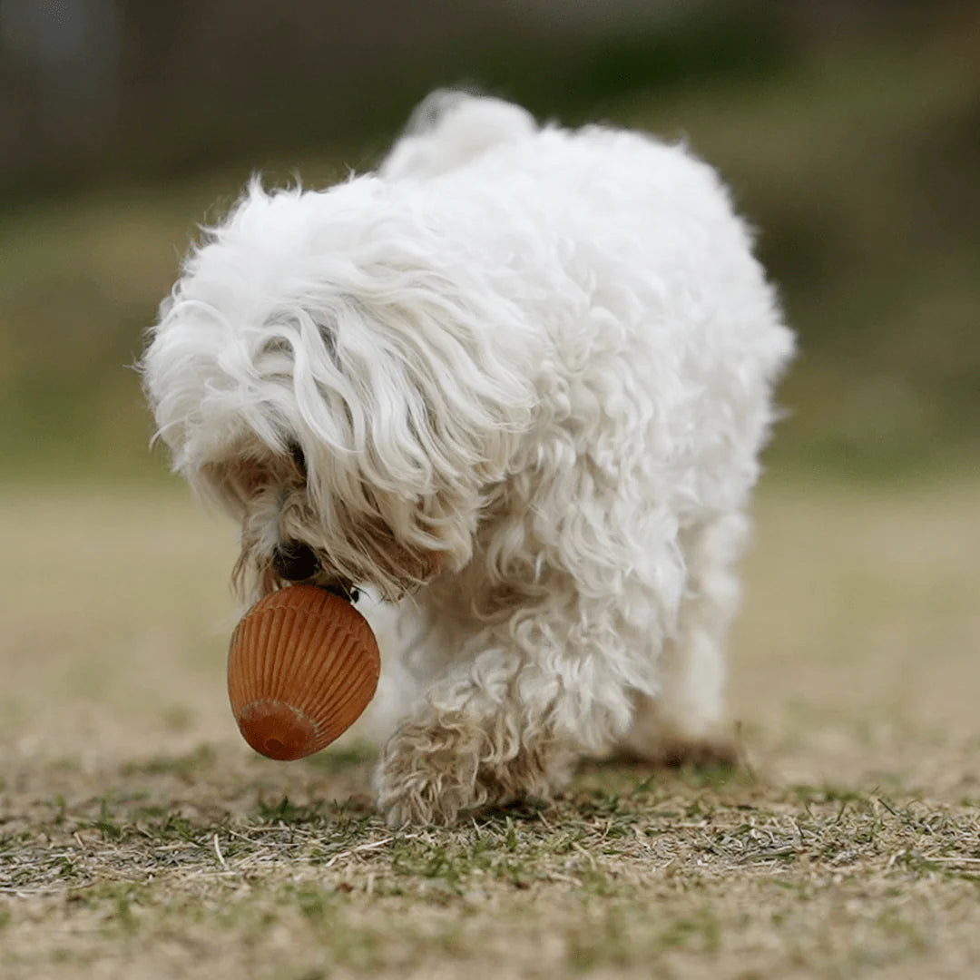 Brinquedo para Cães - Rub Gossy Egg