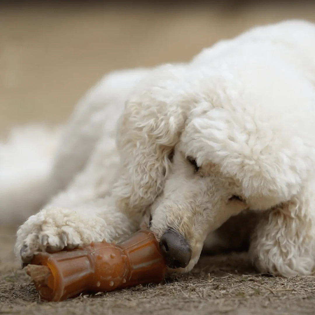Brinquedo para Cães - Rub Loop Treat