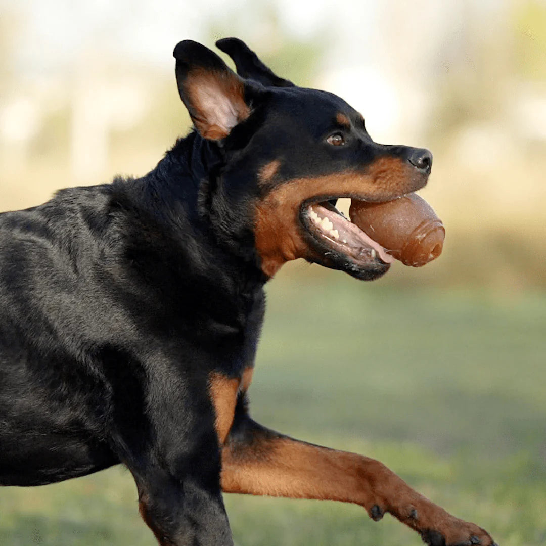 Brinquedo para Cão - Rub Futebol Americano