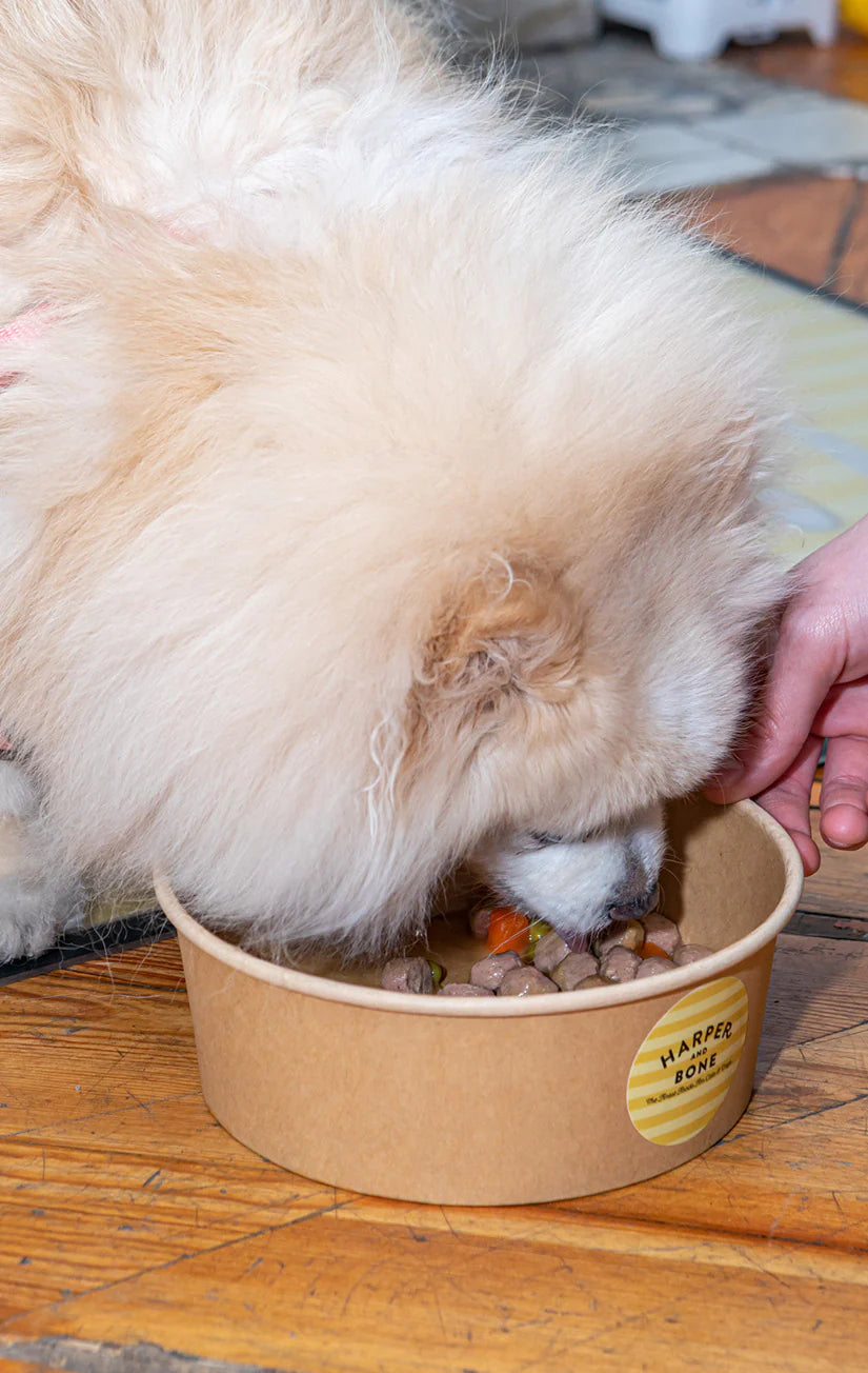 Harper & Bone Almôndegas para cães Sabores da quinta