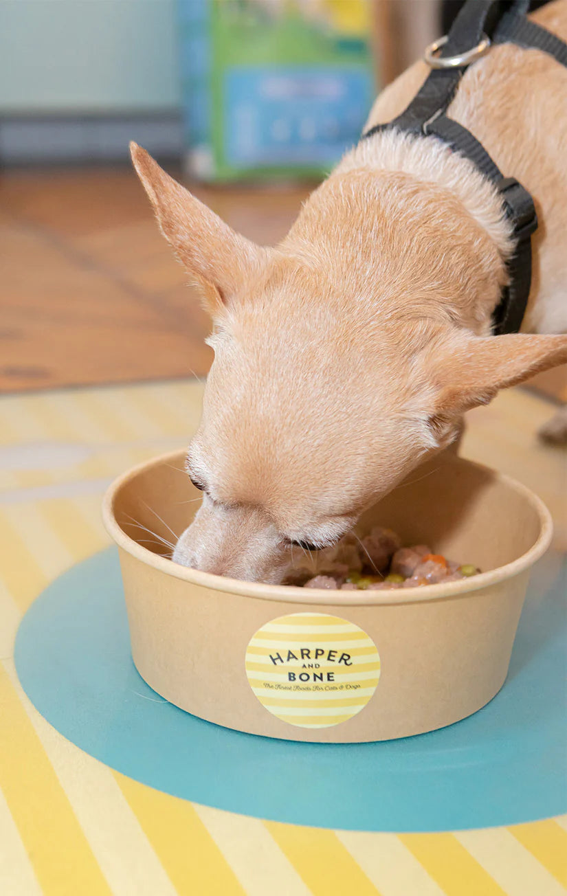 Harper & Bone Almôndegas para cães Sabores da quinta