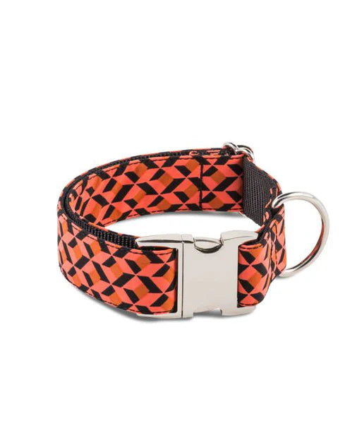 Brott Coleira para cão ER