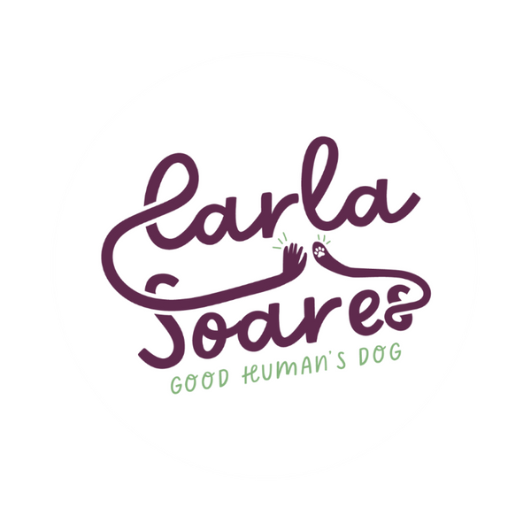 Carla Soares Pet Shop