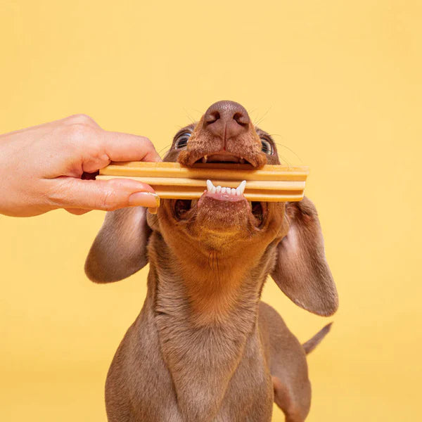 Sticks Dental PEANUT BUTTER 🍯🥜 (Dental & Derma)