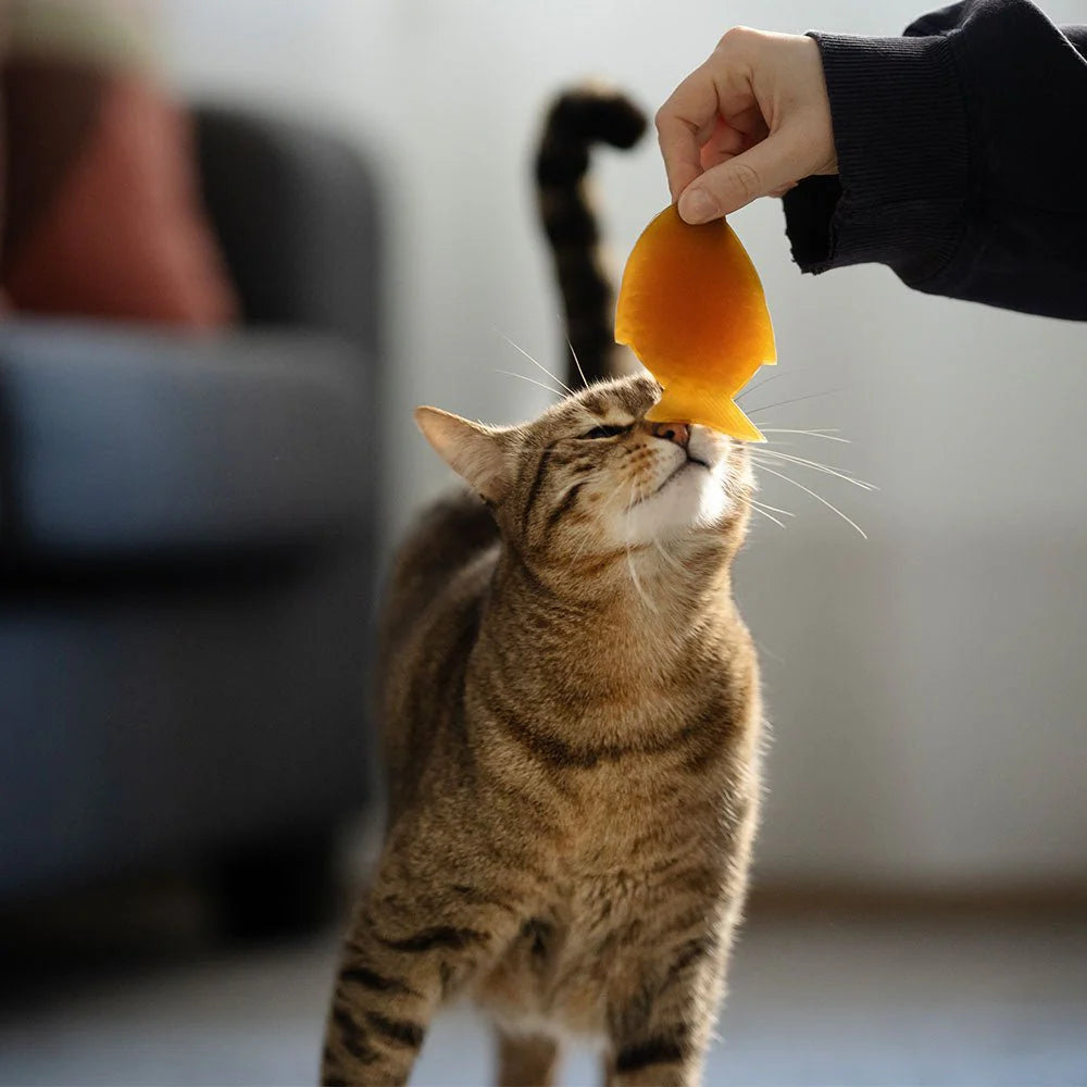 Brinquedo gato - Rub Fish