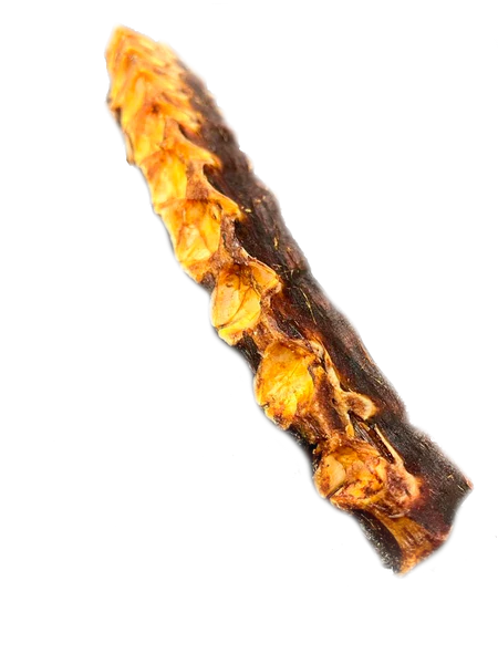 Fish Bone - TOMAHAWK de Atum (L)